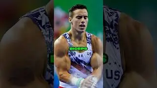 Gymnast Biceps Building HACK 💪😨