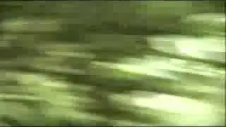 MONTE AL&Eacute;N Paraiso Salvado