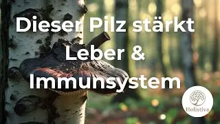 Chaga: Wirkung auf Leber, Immunsystem & Nerven &ndash; wissenschaftlicher &Uuml;berblick