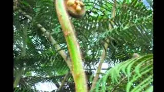 Amici dell'Orto Botanico dell'Università di Genova