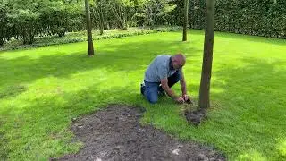 Grasjournaal: tips voor het gazon na de zomer
