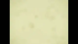 Gal Gadot best fight scene...