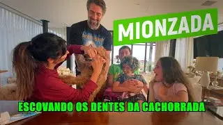 Escovando os dentes das cachorrinhas! - MIONZADA 10