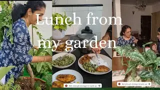 Cooking with vegetables from my garden | Brinjal Potato Roast | Amaranthus Stir Fry | Teatime snack