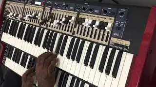Vaan Engum Thanga Vinmeengal Cover