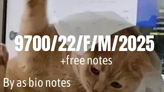 9700/22/F/M/2025