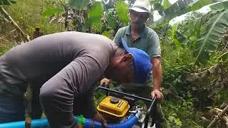Ligando motor para aguar banana 