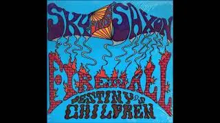 Sky Saxon - Firewall - Destinys Children 1986 Full Album Vinyl