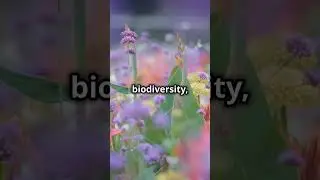 Butterflies & Bees Pollinate Cherry Blossoms and Flowers & Landscape in your Backyard.