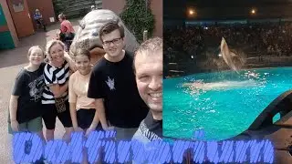 WEER NAAR HET DOLFINARIUM! DOLFIJNEN SPRINGEN HOOG! 🐬