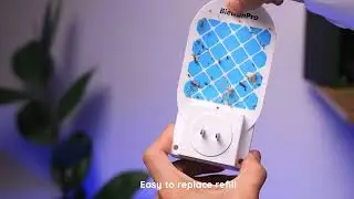 Zevo Flying Insect Trap, Fly Trap, Fruit The link is in the description 👇🖕