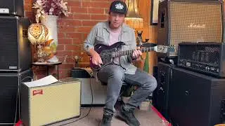 James Tyler Guitars JTG Mk1 and Benson Monarch Reverb Plus