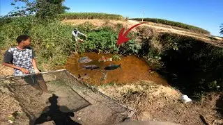 PO&Ccedil;A NA BEIRA DA ESTRADA TINHA MUITO PEIXE E NINGU&Eacute;M PEGAVA!