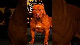 Top 5 Dogs That Could Defend You Against Wolves #ytshorts #mountaindog #gundog
