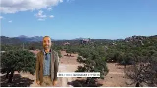 In Olbia Land for Sale: Seize Your Sardinian Dream Now