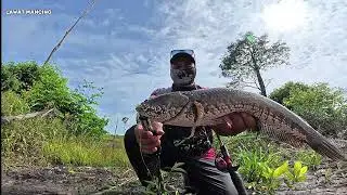MANCING DAN CASTING DI PERAIRAN KALIMANTAN [ Terdapat dua jenis ikan yang berbeda. 