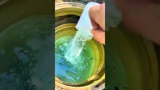 Toxic Pool Water Treatment Green to Clean pool cleaning #cleaning #asmrvideos #poolcare #poolsafety