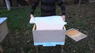 009 UkrBeehive ColdWinter