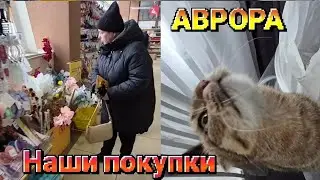 НИКОЛАЕВ АВРОРА НОВИНКИ ! НАПИ ПОКУПКИ ! #распаковка #активвернись #кот #еда #магазин #врекомендации