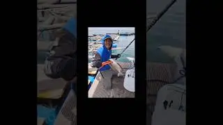 Garonger Pinggiran  #spot_mancing #angler #trip #fishing #baronang  #tegek #pulau #Lancang_besar