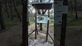 HEL Drogą Przez Las Pozostałości Po Bunkrach Podczas Obrony P&oacute;łwyspu Helskiego