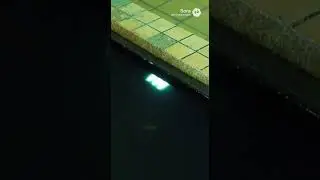 Poolrooms Fishing Game #poolrooms #backrooms #liminal