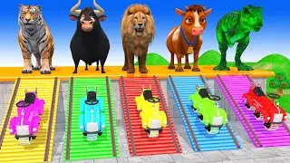 Long Slide Game With Cow Elephant Gorilla Hippopotamus Tiger 3d Animal Game Funny 3d Animals