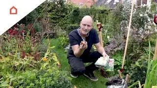 Det kan du lave i haven i efter&aring;ret