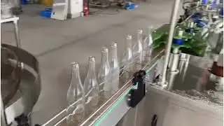 Automatic Rotary Bottle Washing Machine