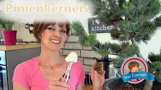 Pinienkerneis Rezept - Eismaschine Nemox 1700 up