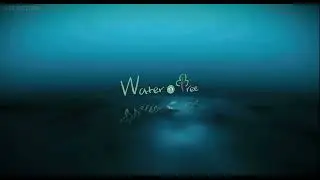 Core Contents Media/SK Telecom/Water n Tree Pictures (2008)