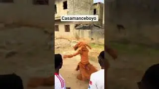 kankourang #casamance #s&eacute;n&eacute;gal #gambie #sedhiou #africa #culture #bignona