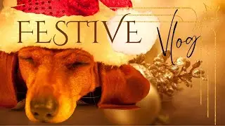 TEXAS VLOG | Christmas concert, festive Houston lights & pets playing chase | Noh&ecirc;me