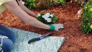 Bellport Gardens 4 Pairs Garden Gloves with SlipResistant Dots