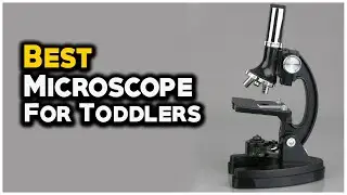 6 Best Microscope For Kids In 2022 -  Toddler's mama
