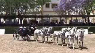 Exhibición de Enganches. Trofeos 6 a la larga. Jerez 2015