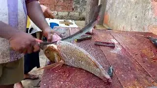 Cutting Spangled Emperor| Fish Cutting Skill | Unique Live Fish Cutting Performance Asmr