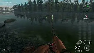 Fishing Planet Kaniq Creek Unique Bull Trout
