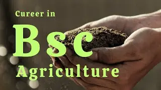 BSc Agriculture Course Details in Marathi 2026|BSc Agriculture Career and Salary|Agriculture Course