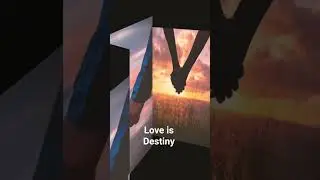 Everything is Destiny #loe #shreyaghoshal #ajeebaurgareeb #destiny