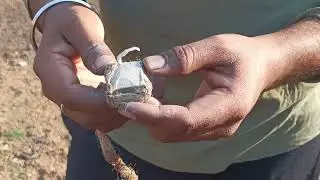 Rassi bomb blast #Experiment with Rassi bomb