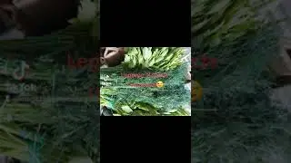Legume si Fructe