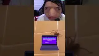 Maiores sustos em live!