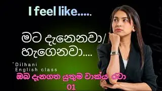 ඔයාට දැනෙන ,හිතෙන දේවල් English වලින් මෙහෙම කියමුද?..  