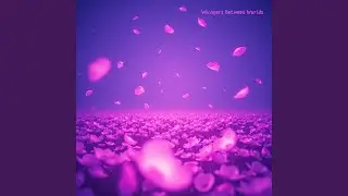 Spectrum of Stillness