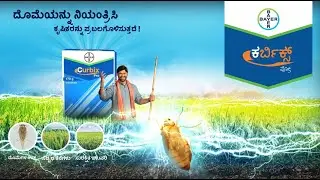 Curbix Pro: Effective Plant Hopper Solution (BPH) for Farmers | Bayer CropScience India