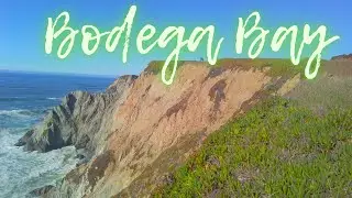 Bodega Bay