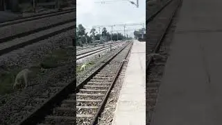 Arariya court station #train #railinformation #indianrailways #railwayworkers
