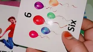 The Ultimate All-in-One Flash Card System for Kids