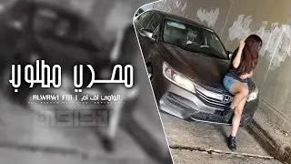 مصري طرب - كان ليا حبيبه | مطلوب اكثر شي
